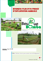 Business plan Agriculture.pdf  dirzon